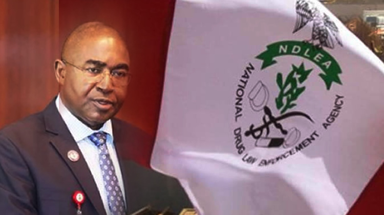 The National Drug Law Enforcement Agency confirmed the detention of two Ghanaians, Monday Saba and Hakeem Kwana, as well as 11 additional suspects for drug-related offenses in various regions of the nation.

Femi Babafemi, the agency's Director of Media and Advocacy, issued a statement on Sunday that confirmed the development. In it, he stated that officials of the agency had intercepted two imported consignments of a potent strain of cannabis known as loud, each weighing 5,344.1 kilograms, along the in the Lekki area of Lagos State.

He also revealed that, according to reliable information, NDLEA agents ambushed a white truck on the Epe-Lekki Expressway in the early hours of Monday, June 19, transporting 50 jumbo bags weighing 2,434.1 kilograms of the illegal substance.

According to Babafemi, the driver jumped out of the vehicle and made his way out in a security van that was escorting the drug truck, which was demobilized by anti-narcotics officers, he added.

 Two Ghanaians are detained after NDLEA intercepts hard drugs in Lagos. In five months, NDLEA has detained 181 Ogun drug suspects: In just five months, the NDLEA has detained 181 suspects. The spokesman for the agency went on to say that the following day, on the basis of intelligence, officers in the marine command of the agency intercepted a boat carrying the same imported substance weighing 2,910 kilograms and arriving from Ghana around Alfa Beach.

According to Babafemi, "Two Ghanaians, Hakeem Kwana, 27, and Monday Saba, 30, were found with the consignments, and were promptly arrested." Abubakar Mohammed, 32, and Nuhu Sale, 43, were arrested in Niger State on June 18 along Abuja Expressway, Suleja, with 31 jumbo bags of skunk weighing 517 kilograms. Amina Alilu, 30, was arrested on June 21 in Ogbogodo village, Dekina LGA, Kogi State, with 171 kilograms of the substance.

“On Thursday, June 22, 34-year-old Ogedegbe Dorcas, a suspected fictitious female security agent, was also captured with 30 kilograms of cannabis at Ajegunle in the Asa Dam Area of Ilorin, Kwara State. On Saturday, June 24, 42-year-old Segun Olajide was captured with 49.2 kilograms of the same substance in Oyo town.