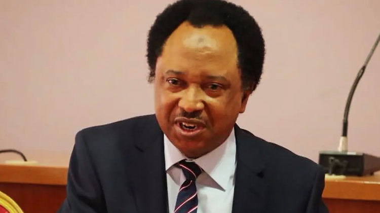 Why juntas are taking over govts in West Africa - Shehu 