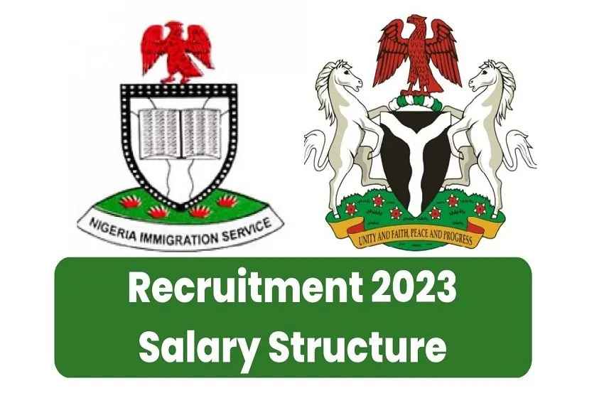 Detailing the Nigeria Immigration Service rating system - Vimarsana News