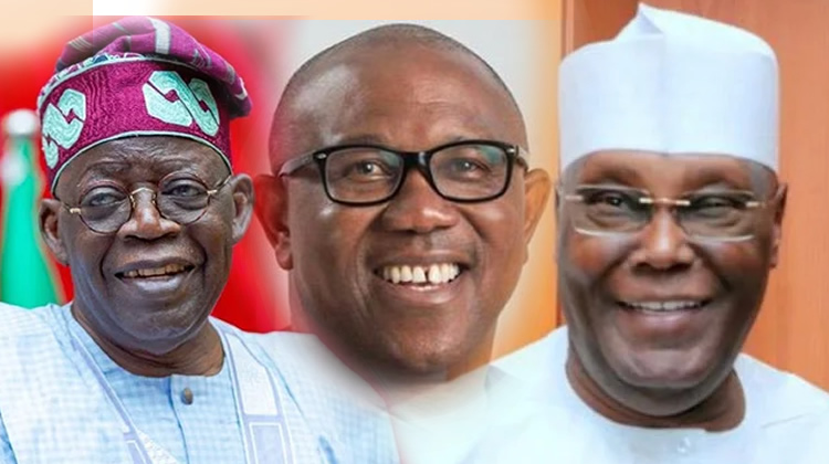 Political decision petitions: Councils choose Tinubu, 25 govs cases September