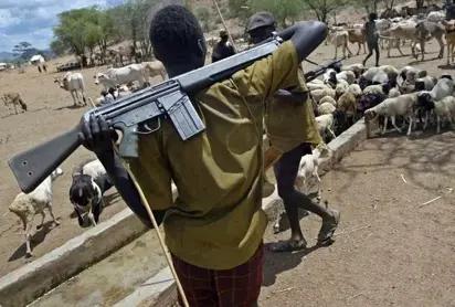 Suspected herdmen attack Benue community and kill PPRO relatives