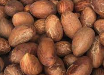 Two people arrested for stealing bitter cola, others in Anambra