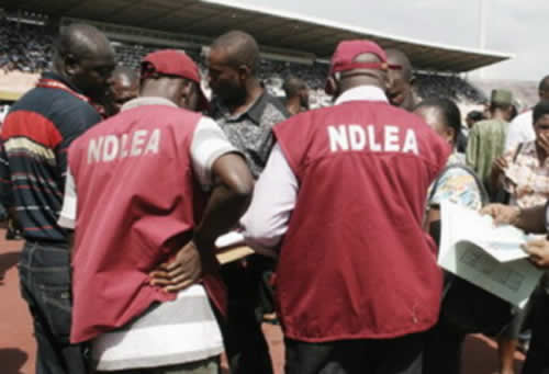 NDLEA Arrests Wheelchair-Bound Drug Dealer, Ex-Convict, and Others
