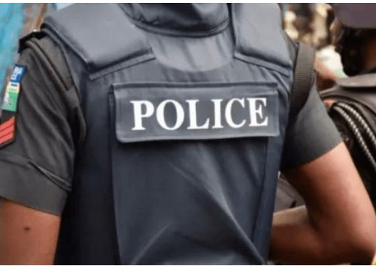 Federal Capital Territory Police Capture Suspected Murderer, Kidnappers, and Robbers, Recover Arms