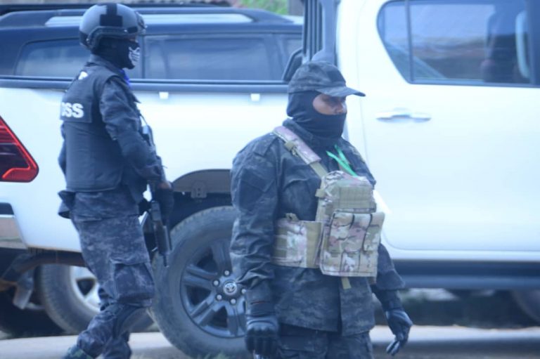 Security Forces Conduct Raid on Delta State Chief's Residence, Uncover AK-47 and Other Weapons