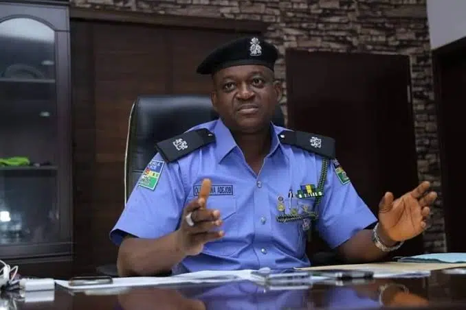 Nigeria Police Report: Over 29,000 Arrested for Various Crimes in One Year