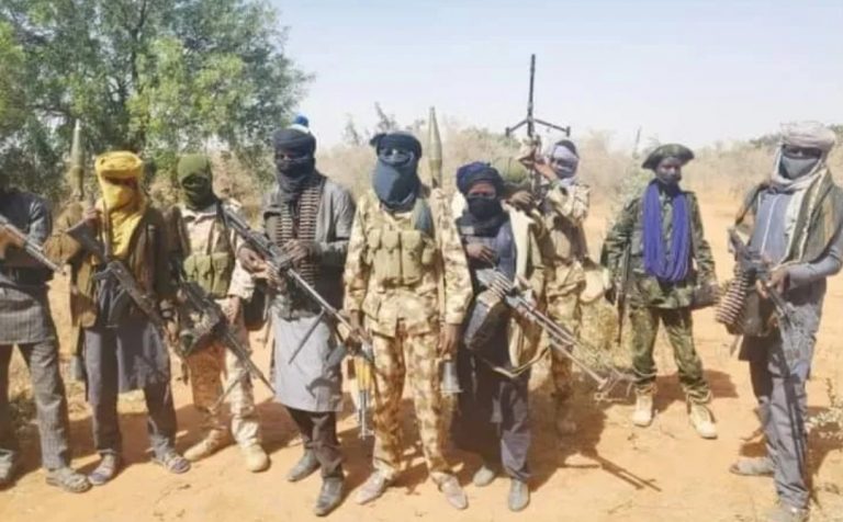 Niger residents fleeing bandits attack drown