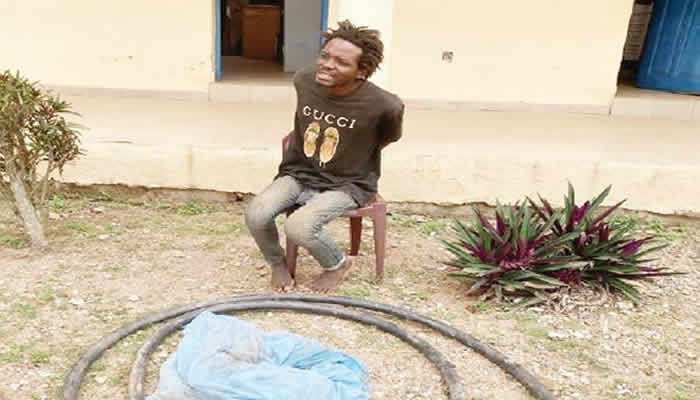 The Osun State Police Command has announced the arrest of two armed robbers operating within the Osogbo