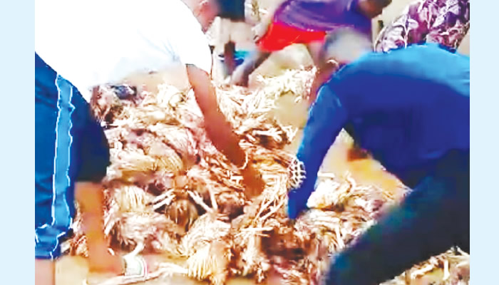 Devastating Flood Sweeps Through Edo State Community, Leaving Residents Counting Their Losses