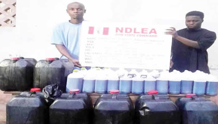 NDLEA Intercepts N2.2 Billion Worth of Codeine Bottles at Lagos Port