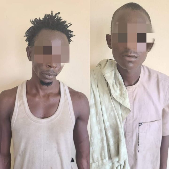 Two Arrested for Stealing Police Station Sign in Kano