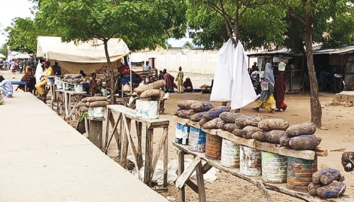Katsina Traders Struggle with Low Patronage Amid Nationwide Protests