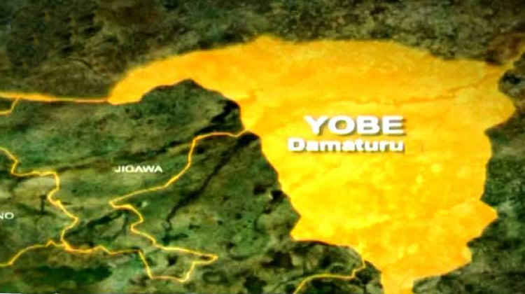 Attack in Yobe: Gunmen Strike Mafa Village, Leaving Destruction in Their Wake