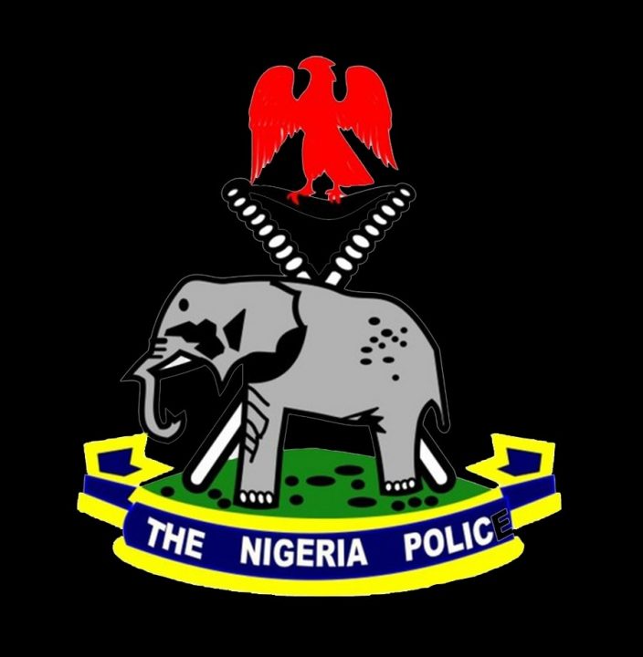 Investigation Launched into Police Inspector's Alleged Homicide in Yobe State