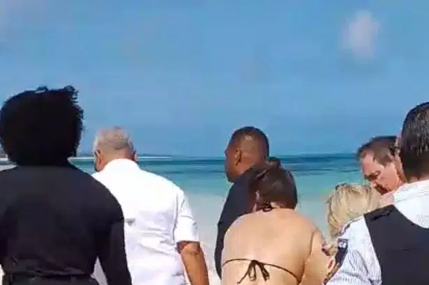 Tourist Loses Hands in Shark Attack While Trying to Take Photo